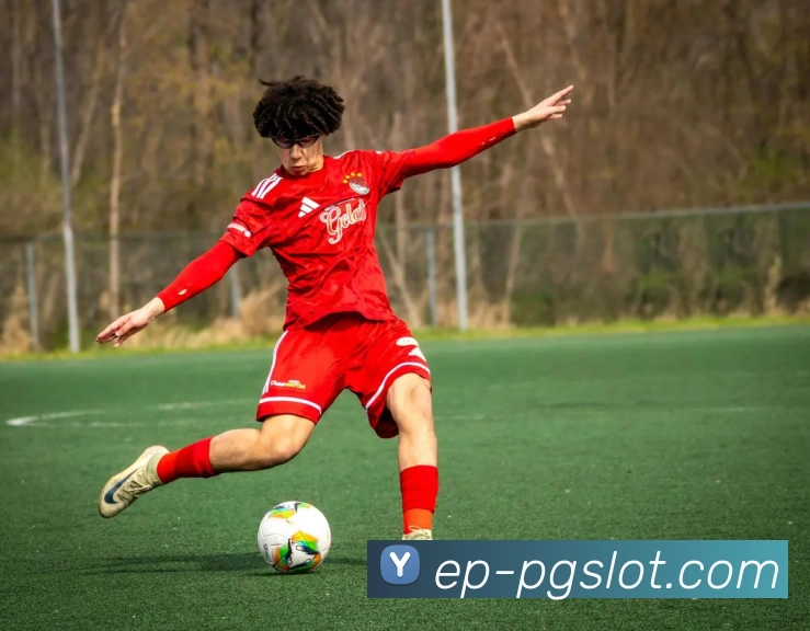 App Interface Preview