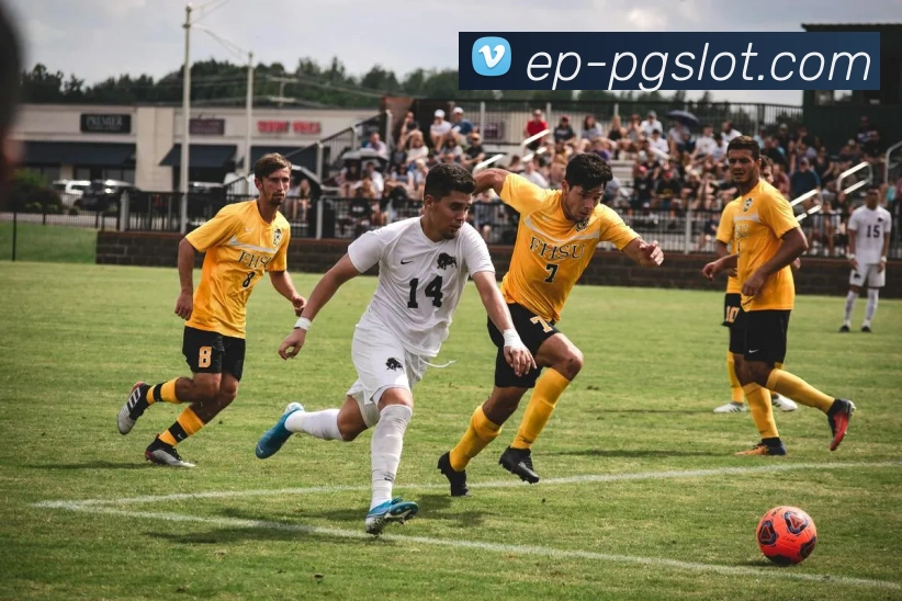 PG电子官网APP 封面图